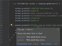 可在语法出错时提出警告！Java开发工具IntelliJ IDEA喜提新插件