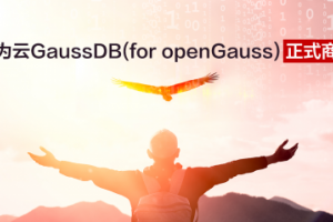 华为云GaussDB(for openGauss)正式商用背后的六大黑科技