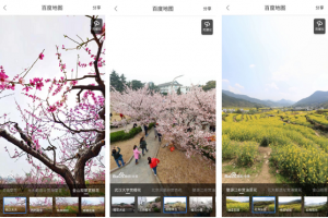 百度地图全景留住“春季限定”，AI带用户云赏花