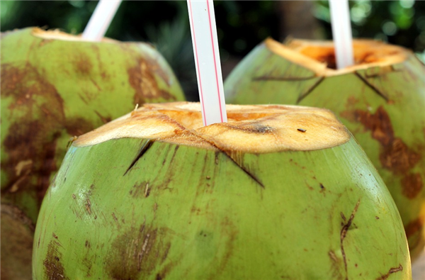 椰树注册“国宴饮料”商标被驳回！法院：易产生不良影响