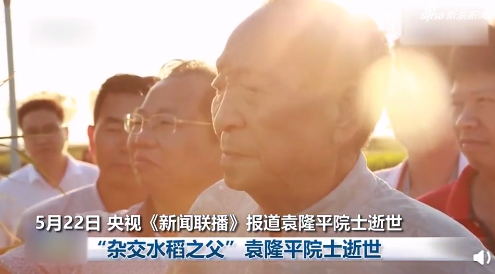 《新闻联播》报道袁隆平珍贵画面：“杂交水稻之父”一路走好