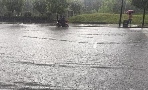 高校因暴雨积水学生过起泼水节！晚上被告知：水里有粪便