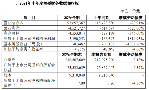 苏宁易购2021上半年亏损31.9亿元：同比扩大18倍