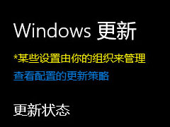 教你一招轻松解决，Win10更新提示组织管理问题