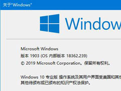 Win10版本号怎么看？四种方法帮你了解Win10版本号