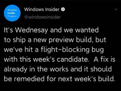 出现阻塞性Bug！微软宣布Win10快速预览版本周无推送